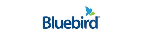 Bluebird